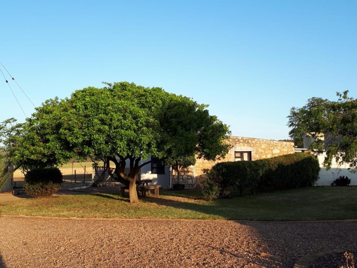 Die Buitekamer Bredasdorp Kültér fotó