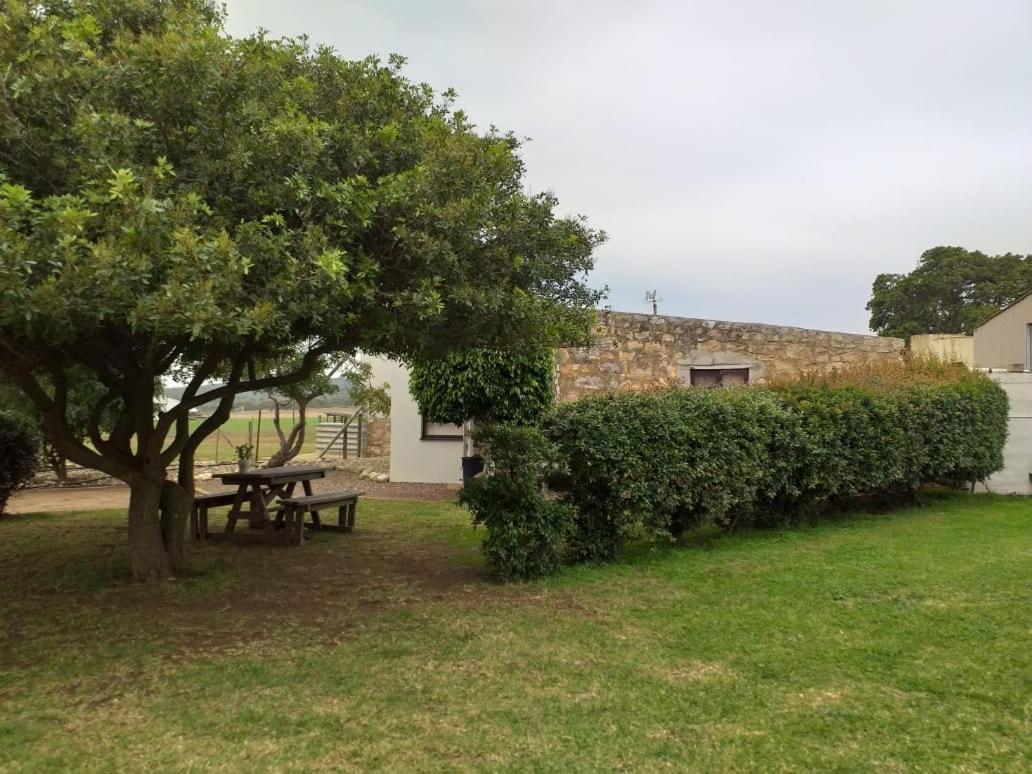 Die Buitekamer Bredasdorp Kültér fotó